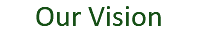 Our Vision